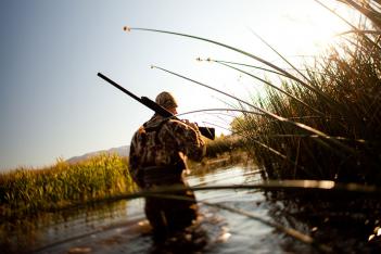 Bird hunter photography