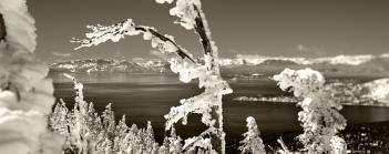 Black and white snow photography