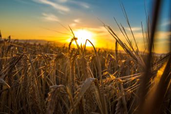 Frey ranch grain farm nv