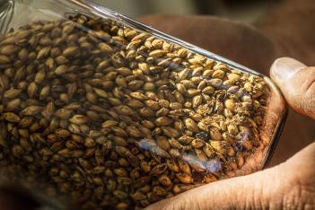 Grain frey ranch