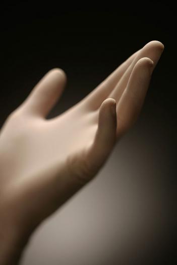 Hand photographers