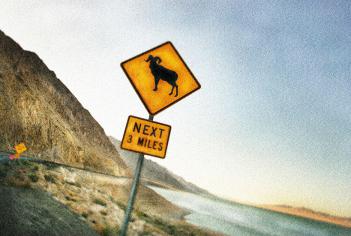 Horn sign photography