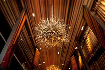 Lobby chandelier photographer
