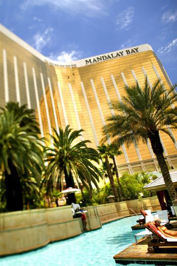 Mandalay bay pool photo