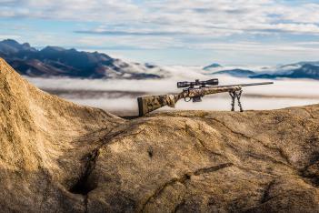 Mountain camouflage guns