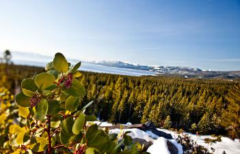 Tahoe landscape photographer
